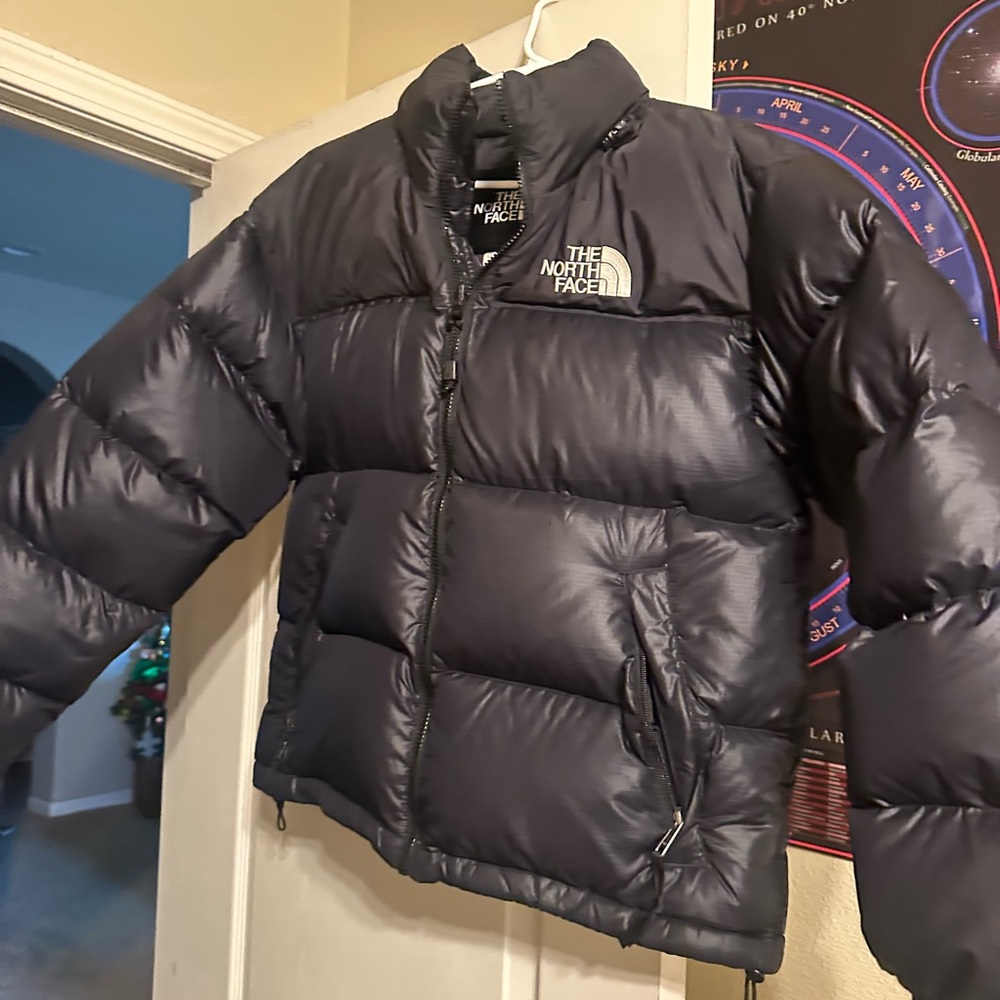 The North Face Black Quilted Down Jacket